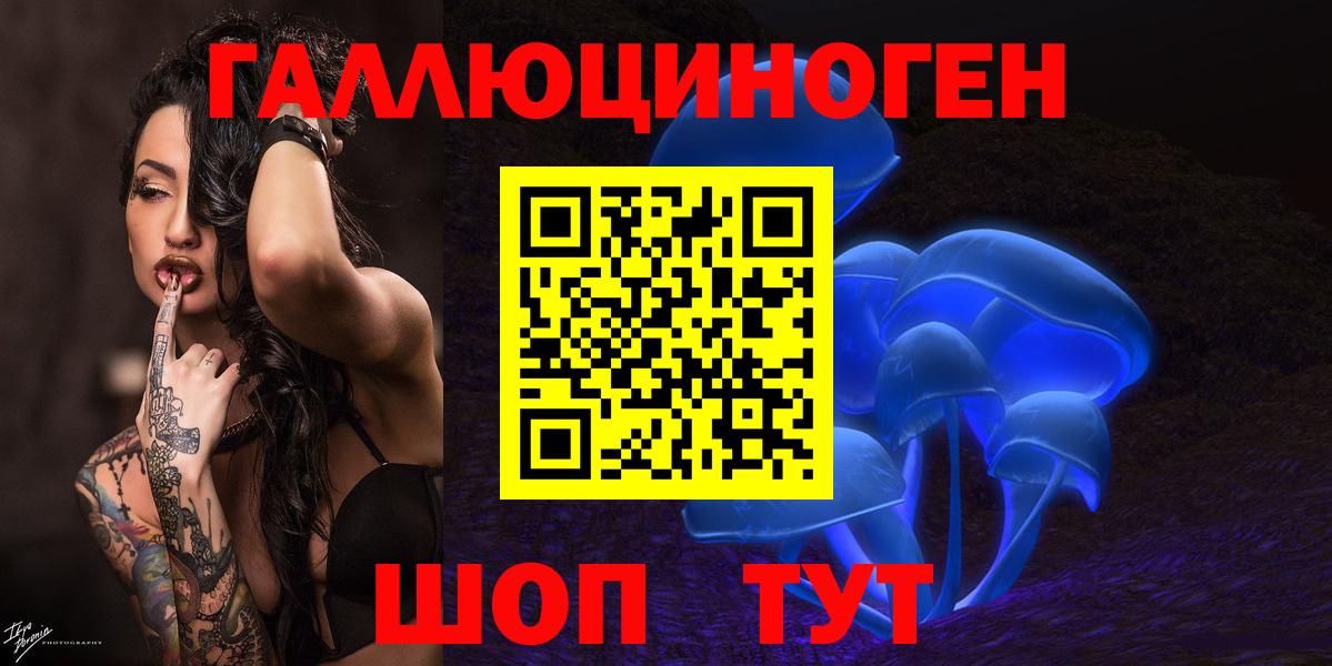 Псилоцибиновые грибы Psilocybine cubensis Жигулёвск